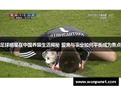 足球明星在中国养猫生活揭秘 爱宠与事业如何平衡成为焦点