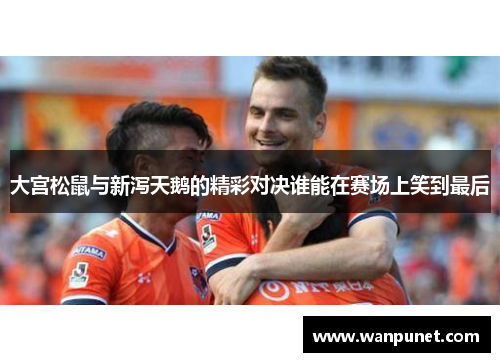 大宫松鼠与新泻天鹅的精彩对决谁能在赛场上笑到最后